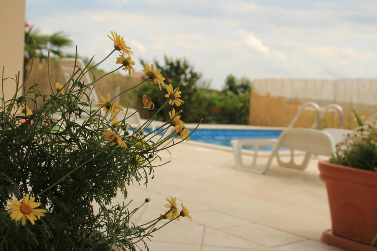 Apartman Robi Nova Vas  Esterno foto